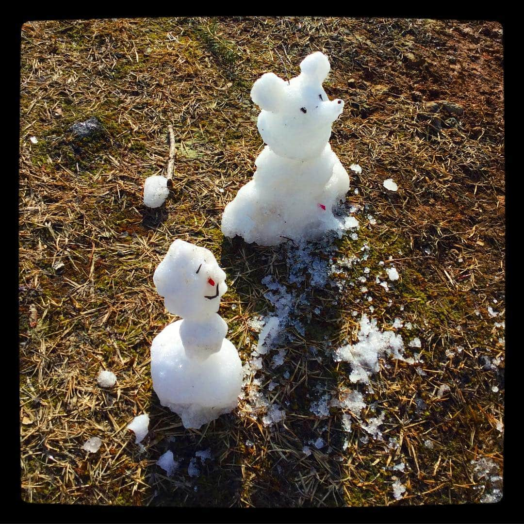 安藤サクラさんのインスタグラム写真 - (安藤サクラInstagram)「👋連休🌸☃️ ❄️積雪の岩手と🌸満開の青森。」5月5日 20時12分 - sakuraando