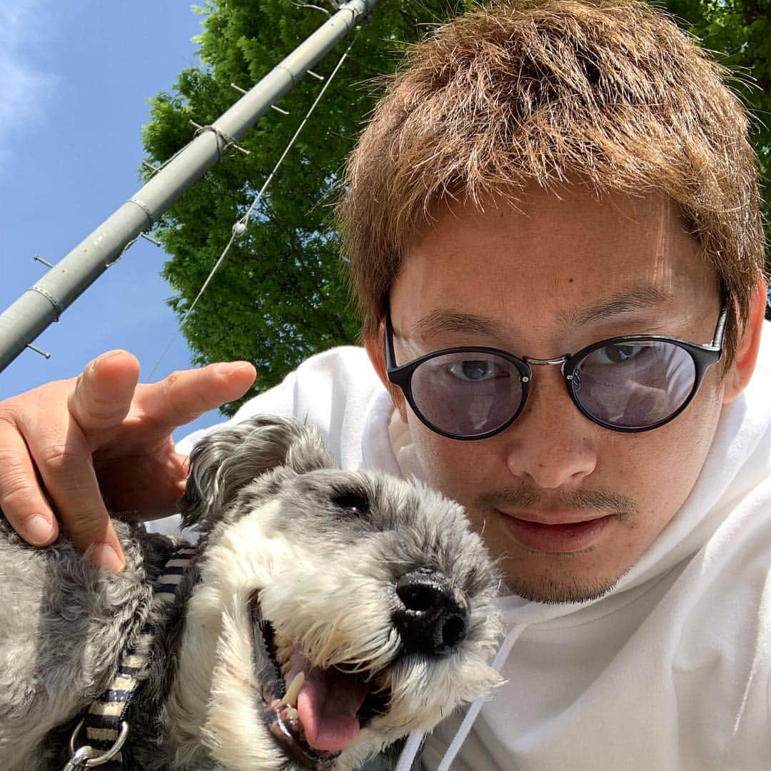 吉永啓之輔さんのインスタグラム写真 - (吉永啓之輔Instagram)「馬鹿犬散歩🐶  #ラム#シュナウザー#散歩#啓之輔」5月5日 20時15分 - keinosuke91