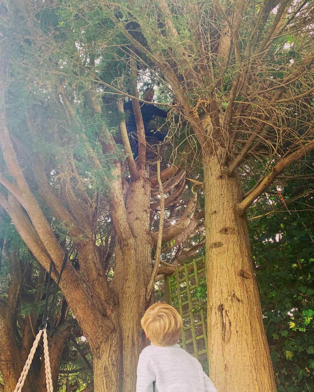 ファーン・コットンさんのインスタグラム写真 - (ファーン・コットンInstagram)「My 65 year old dad climbing trees to impress the kids @michaelcottonsigns」5月5日 20時17分 - fearnecotton