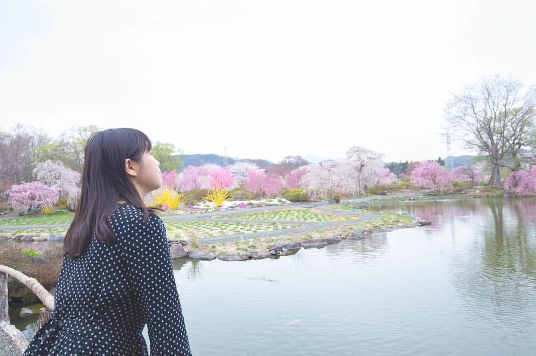 東北女子さんのインスタグラム写真 - (東北女子Instagram)「. 福島賞櫻part4:#四季の里緑水苑 . 去三春瀧櫻前順路找的景點， 結果好像是個秘境！？ 舒服的日式庭院，觀光客又少，超推👍 . . 📍營業：8:30-17:00 📍交通：從JR喜久田站搭計程車10分鐘 . . ✨#東北女子福島賞櫻之旅 📷2019.04.17 . #日本東北 #東北女子travel #福島 #郡山 #福島縣 #日本桜 #東北之旅 #賞櫻 #東北花見 #日本自助 #東北賞櫻 #日本賞櫻 #賞櫻之旅 #行くぜ東北 #春の東北インスタキャンペーン #東北女子 #tohoku #fukushima　#fukushimacity　#wakufuku」5月5日 20時19分 - tohoku_girl_official