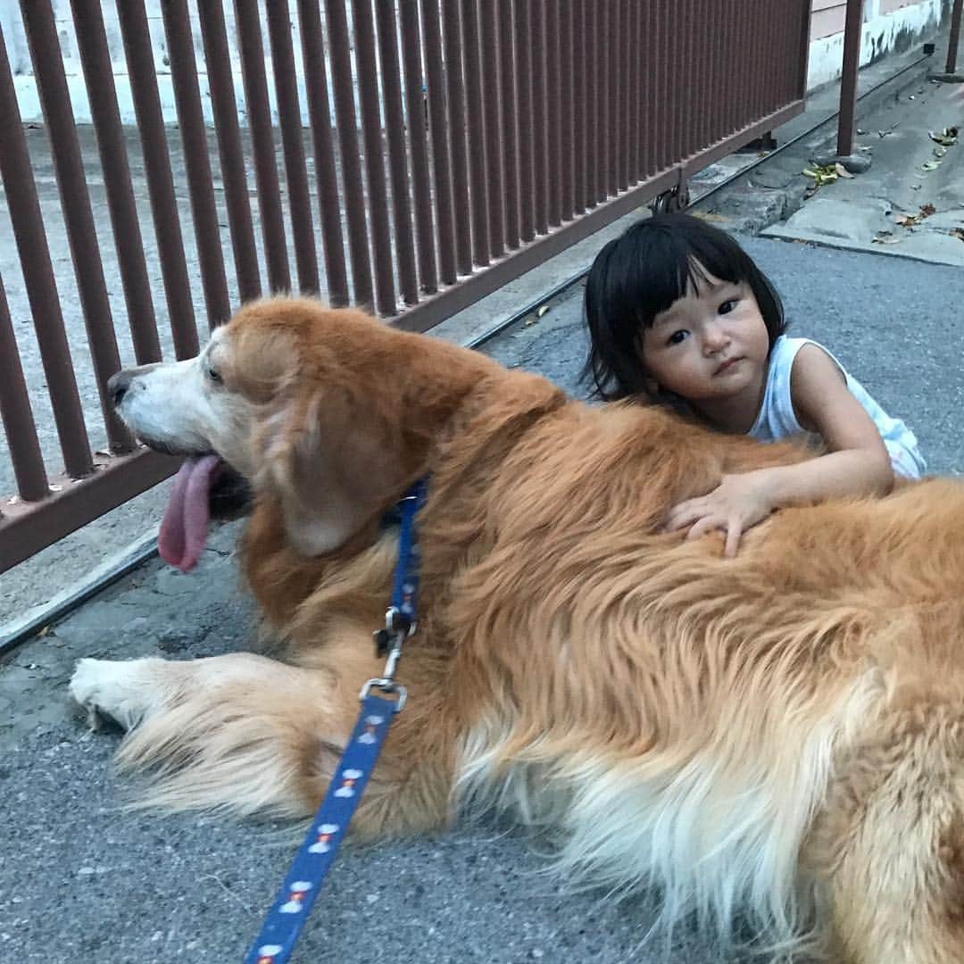 Hoykong&Plamuekのインスタグラム：「หอยโข่งกับเพื่อนใหม่  Hoykong and new friend ❤️#hoykong」
