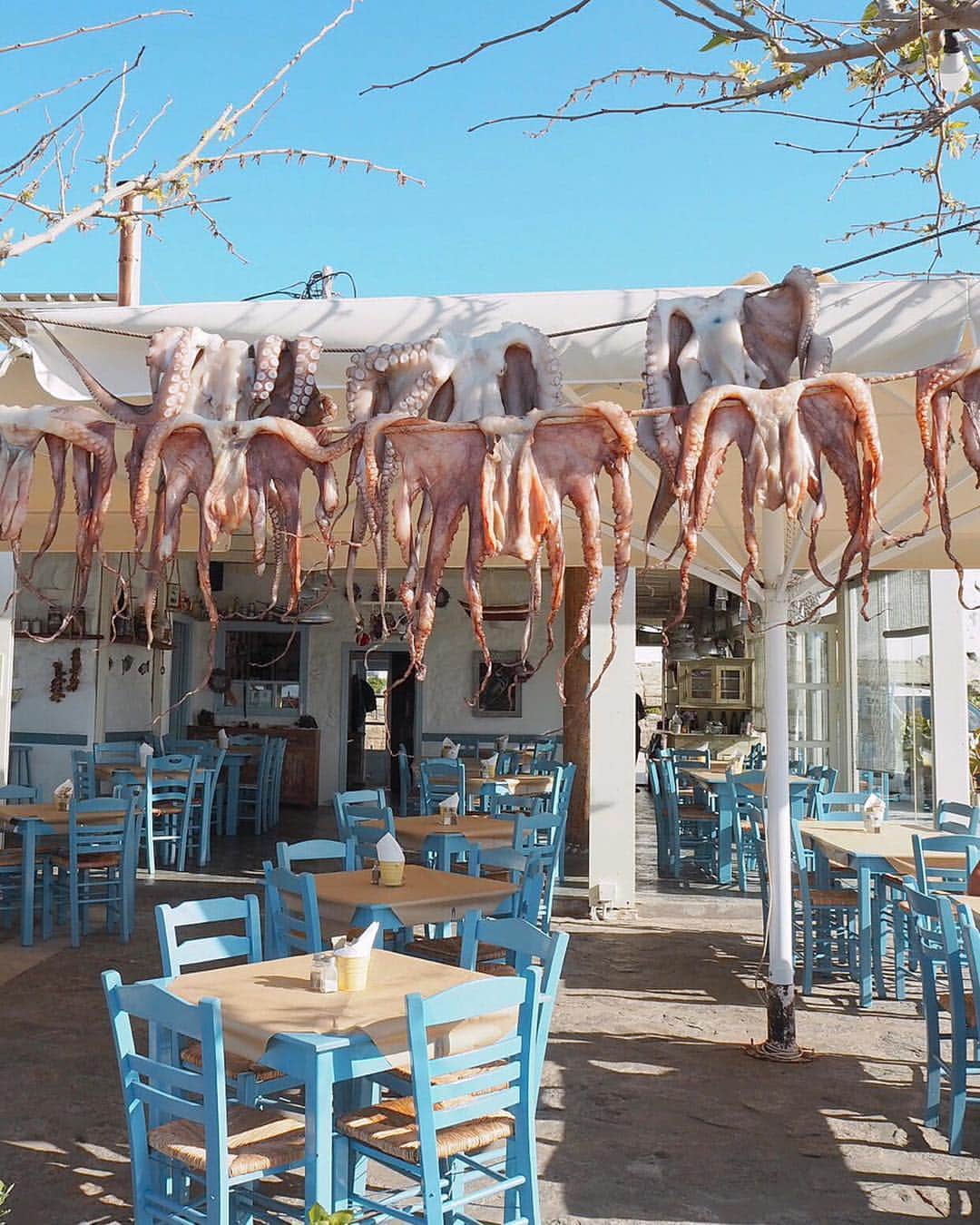 小水彩さんのインスタグラム写真 - (小水彩Instagram)「話しだすのが遅かった娘だけど英語で1番最初に出た言葉は"Apple"で2番目が"Octopus"だったぐらい大好きな"Octopus"がいっぱいなナウサの街♡ . . . #ナウサ #パロス島 #ギリシャ #子連れ海外」5月5日 21時43分 - aya_iitoto