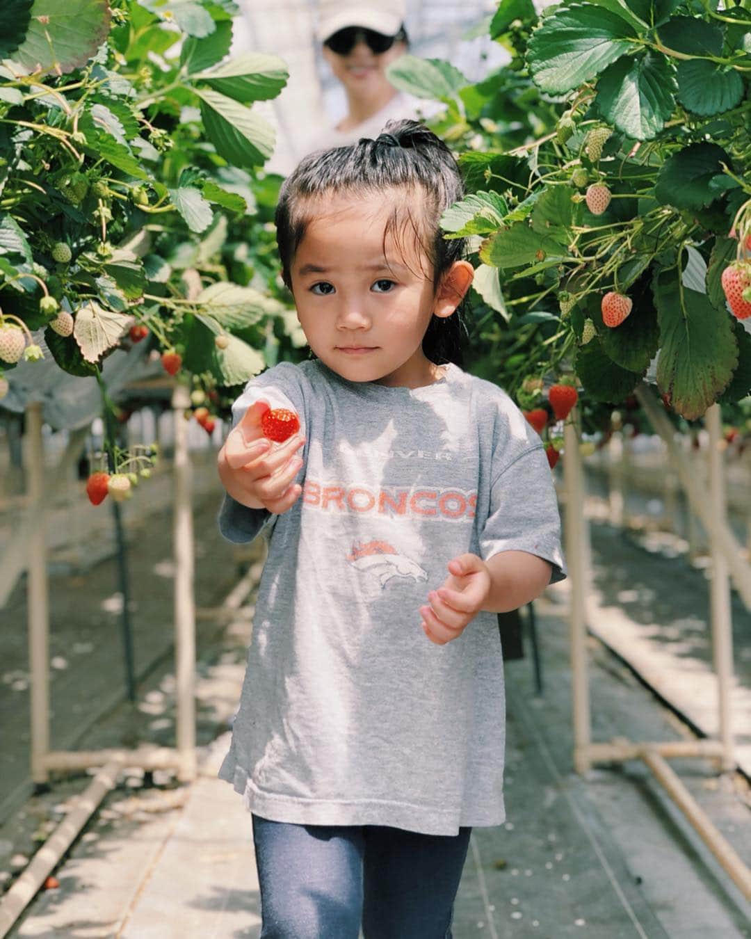 原田沙奈子のグルメインスタ