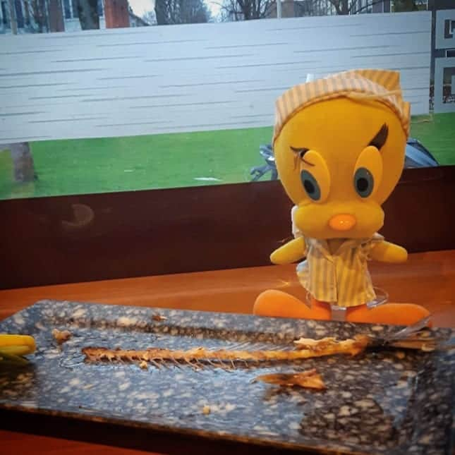 Little Yellow Birdさんのインスタグラム写真 - (Little Yellow BirdInstagram)「Fried mackerel! Not much left after I was done...😄 #littleyellowbird #tweety #tweetykweelapis #adventures #yellow #bird #weekend #sunday #sundayevening #mackerel #makreel #seafood #food #goodfood #fish #fishbone #jobwelldone #vissengraat #diningout #wininganddining #wine #whitewine #friedfish #stuffedanimalsofinstagram #plushiesofinstagram」5月5日 22時03分 - tweetykweelapis