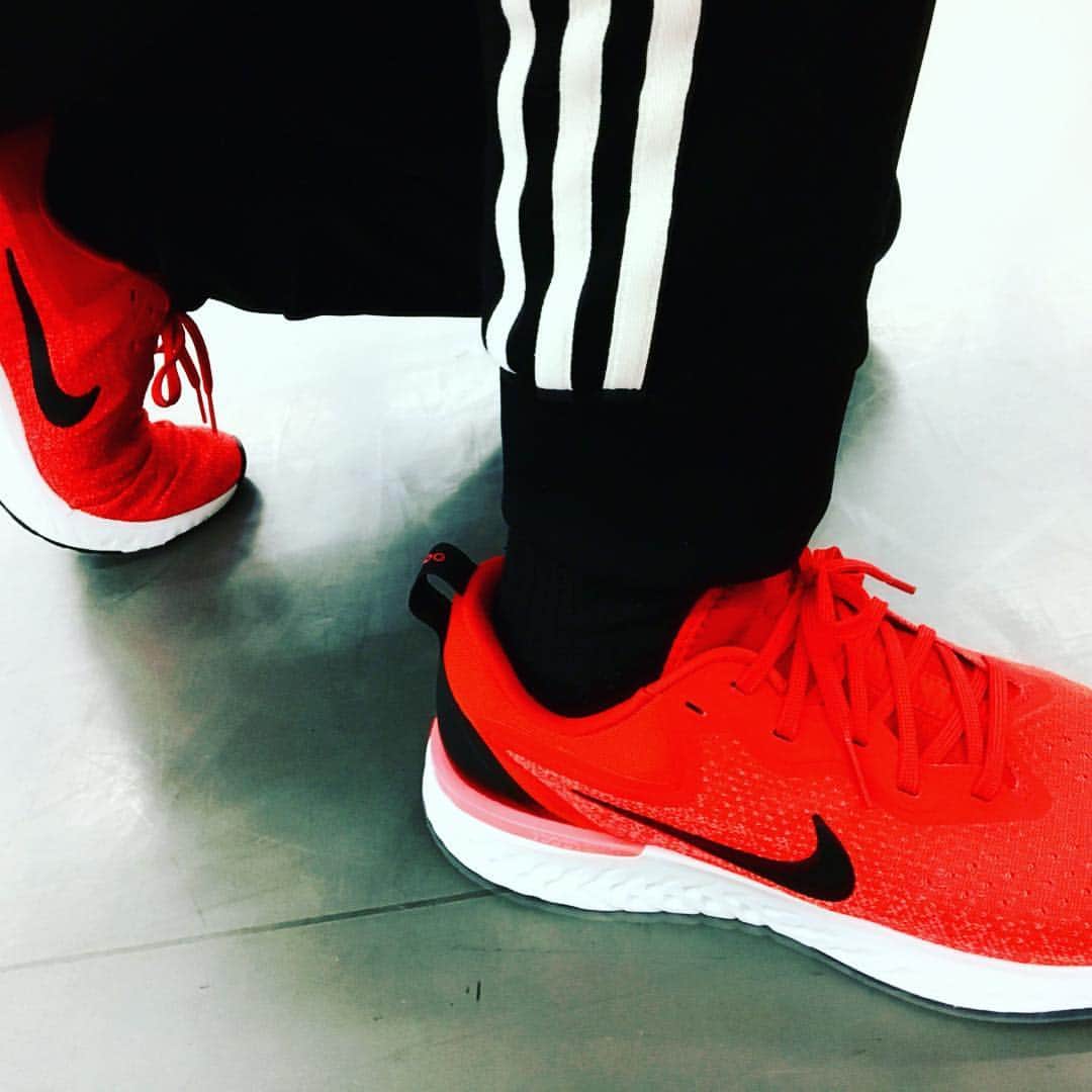 千葉翔也さんのインスタグラム写真 - (千葉翔也Instagram)「キラフェスから新調したダンスの相棒…！ #ナイキ の #オデッセイリアクト ✨ 次はさいたまスーパーアリーナ  #アイドルマスター #SideM のライブ、一緒に頑張ろう🔥  #フィジカル #カラー #リハーサル #スニーカー #nike #redsneakers #nikeodysseyreact」5月5日 22時18分 - shoya_chiba_official