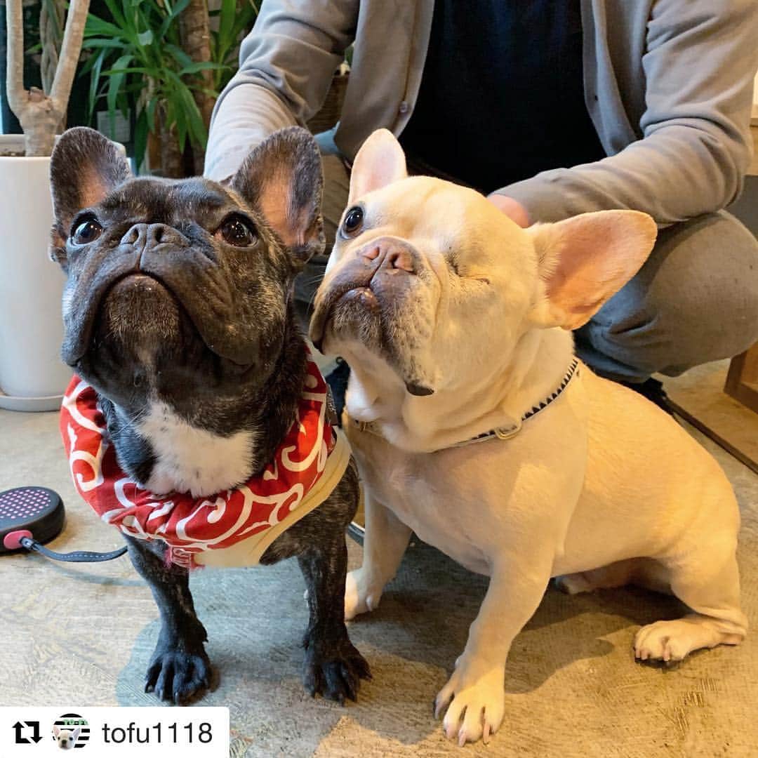 HeyCoffeeのグルメインスタ