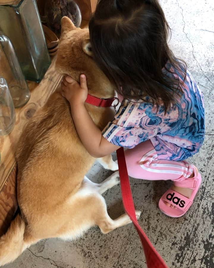 Moguのグルメインスタ