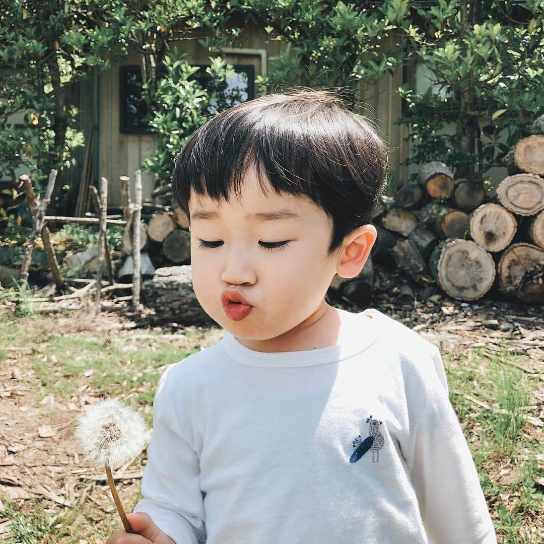 Takafumi Gotoのインスタグラム：「口のやる気はすごいが、残念ながらタンポポが遠すぎるのであった。」
