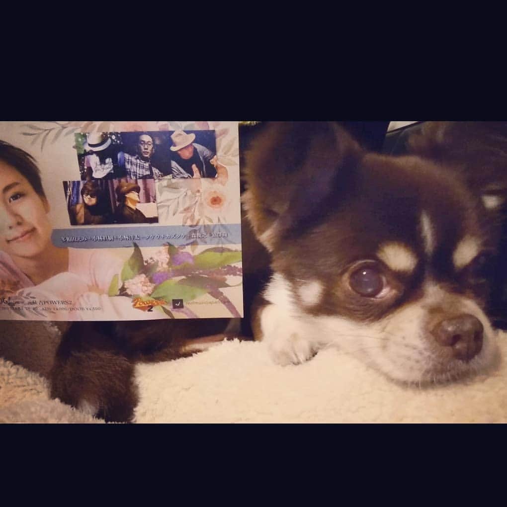 多和田えみのグルメインスタ