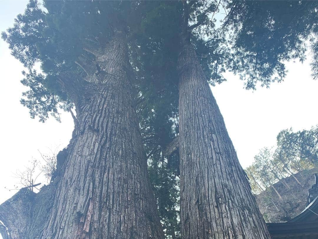 嶋梨夏さんのインスタグラム写真 - (嶋梨夏Instagram)「群馬県の最強パワースポット、榛名神社で御朱印を戴いてきました🙏✨御神体が岩のパワースポットは今まであまり行ったことがなかったのですが、強いパワーがみなぎっていてとっても居心地が良かったです⛩✨✨✨ #榛名神社 #群馬 #群馬県 #御朱印 #御朱印巡り #パワースポット #パワースポット巡り #寺社仏閣 #旅 #trip #令和 #令和元年 #こどもの日 #御朱印ガール #アラサー女子 #REDYAZEL #photooftheday #JAPAN #japanesegirl #avex #avexmanagement #instagood #followme #ricashima #嶋梨夏」5月5日 22時57分 - shimarica_jp