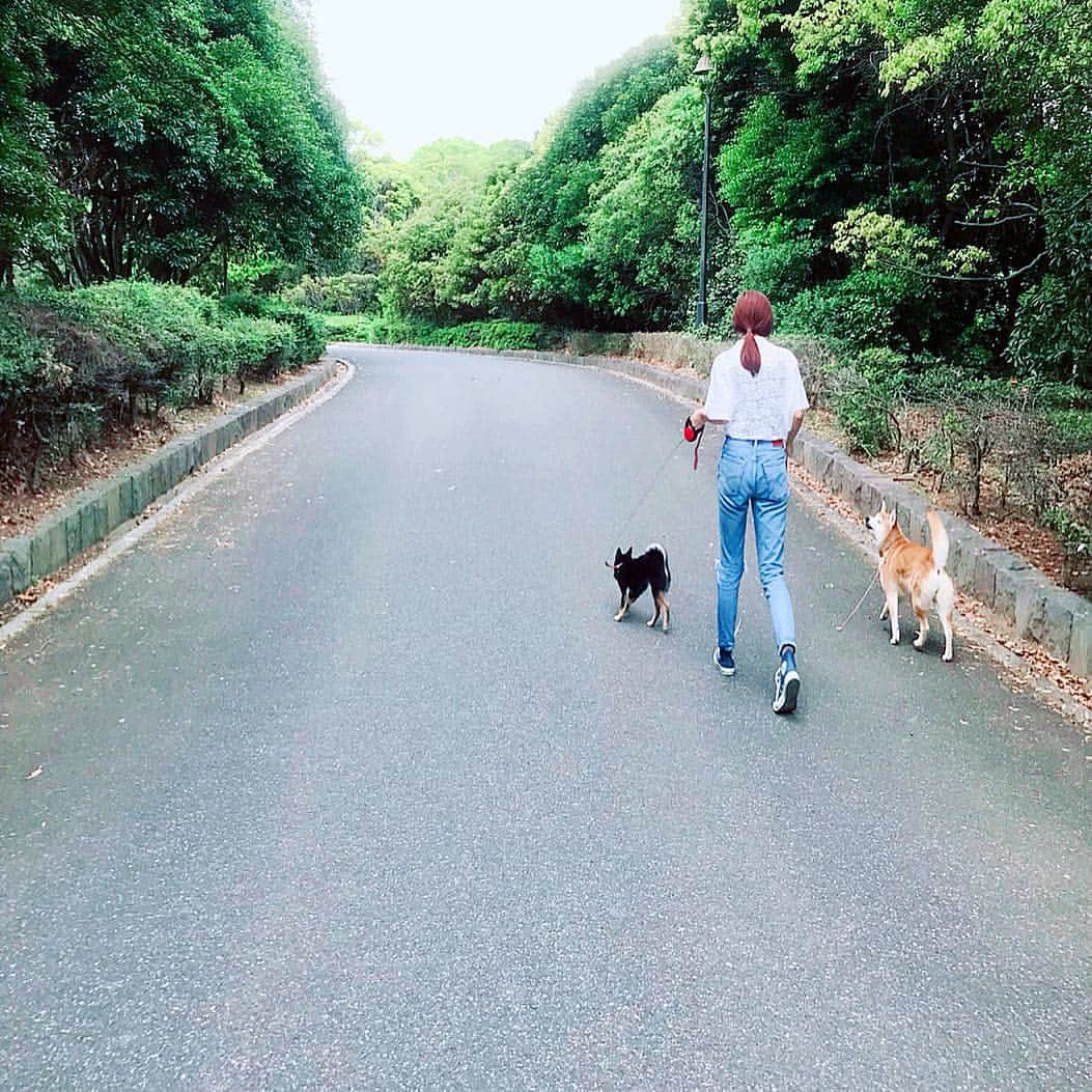 古畑星夏さんのインスタグラム写真 - (古畑星夏Instagram)「⠀ 2匹に引っ張られて遊ばれた日🐶🐶 ⠀#散歩#柴犬 ⠀」5月5日 23時15分 - starandsummer