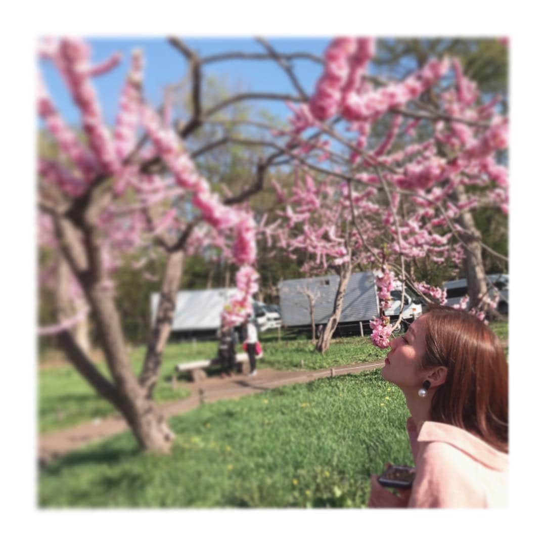 喜多よしかさんのインスタグラム写真 - (喜多よしかInstagram)「梅の花と桜、両方楽しめちゃった🙆‍♀️🌸 ・ 「梅の花は梅の香りがするのだろうか」という疑問に付き合ってくれた優しいちえちゃん😂💓 ・ #結果鼻炎のためわからず #優しい #けいちゃんちえちゃん #ありがとう ❤️ #円山公園 #お花見」5月5日 23時25分 - yoshika_1002_official
