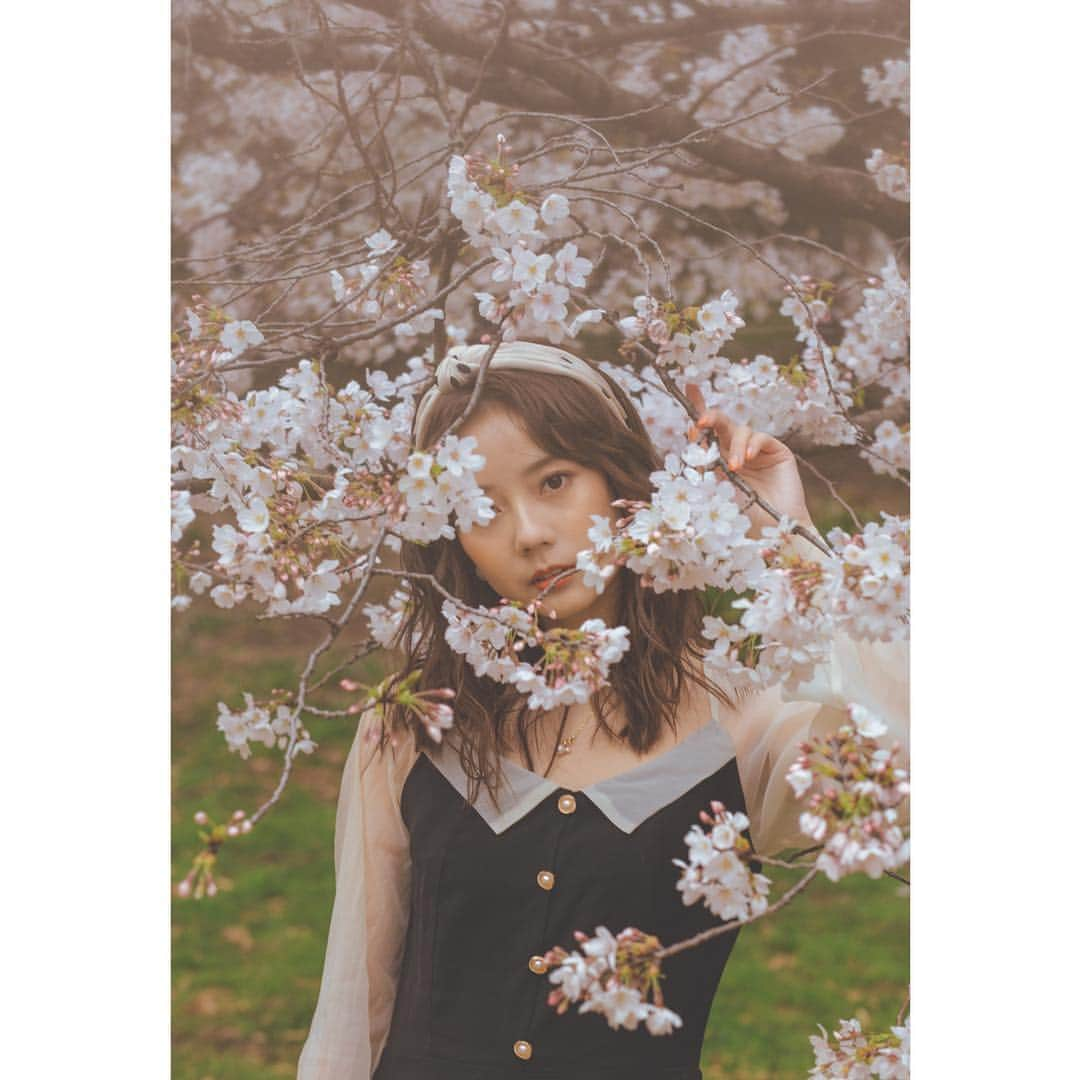 王依君さんのインスタグラム写真 - (王依君Instagram)「#桜 🌸」5月5日 23時28分 - sandystrawberry_