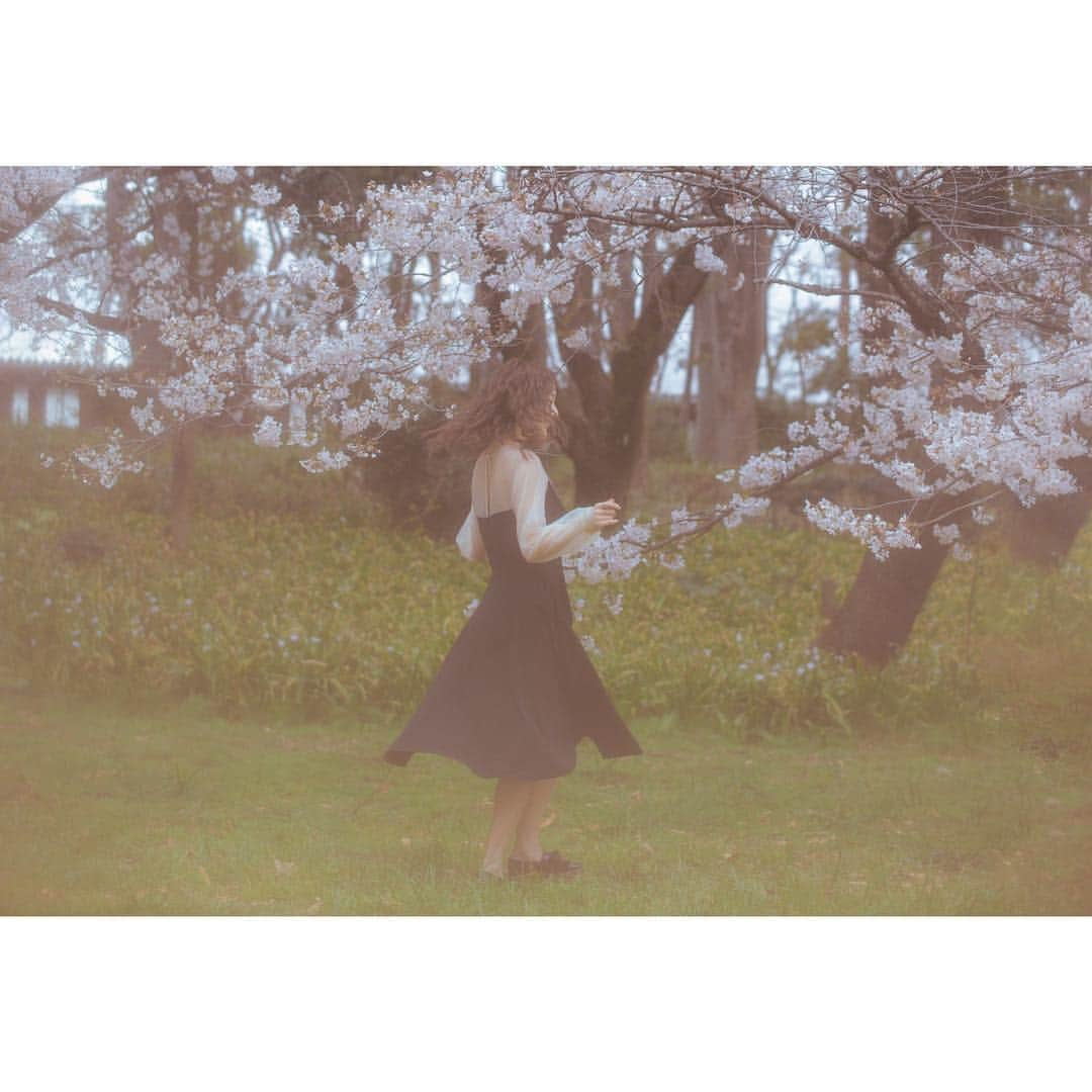 王依君さんのインスタグラム写真 - (王依君Instagram)「#桜 🌸」5月5日 23時28分 - sandystrawberry_