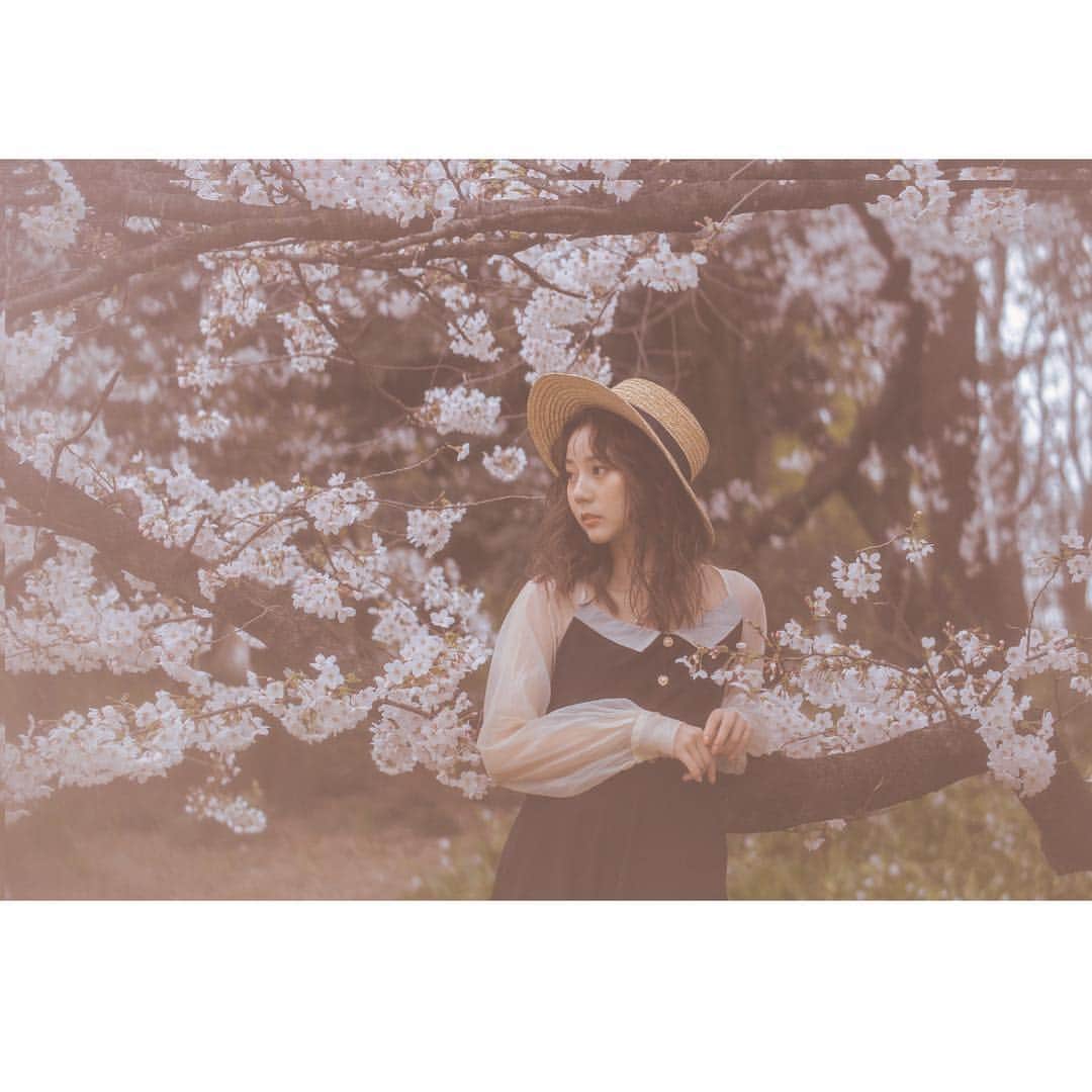 王依君さんのインスタグラム写真 - (王依君Instagram)「#桜 🌸」5月5日 23時28分 - sandystrawberry_