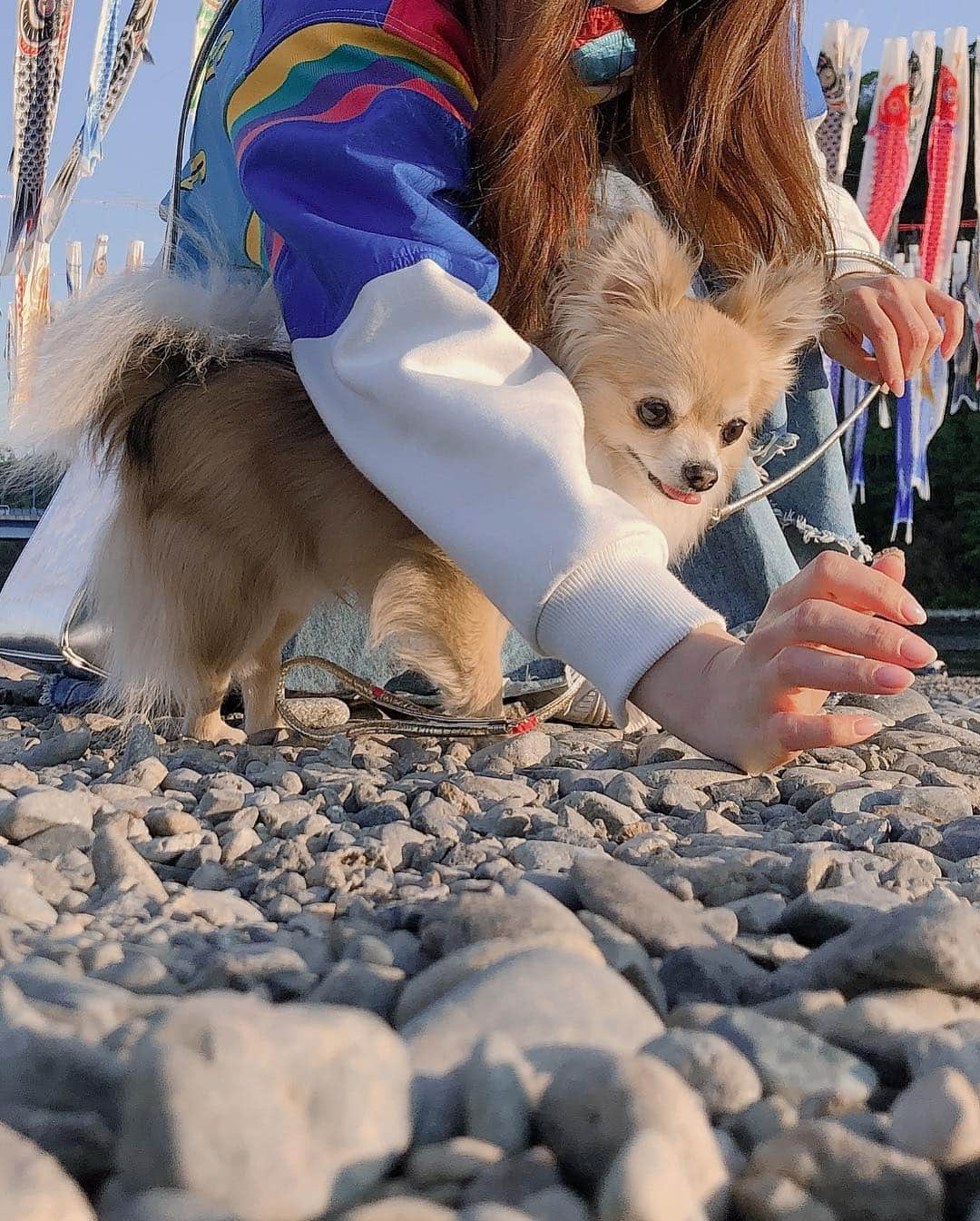 重盛さと美さんのインスタグラム写真 - (重盛さと美Instagram)「こどもの日🐕💙❤️💛 たくさん遊びました〜🥰💋🙌💮 #次はどこ行こっか✨」5月5日 23時58分 - satomi_shigemori