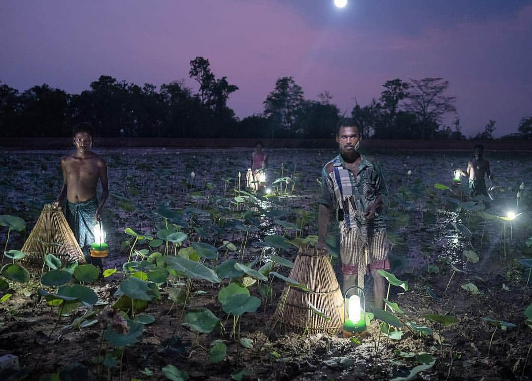 thephotosocietyさんのインスタグラム写真 - (thephotosocietyInstagram)「Photo by @rubensalgadoescudero // In India’s state of Odisha villagers trap fish using cone-shaped baskets and solar lanterns. Fewer than half of Odisha’s 42 million residents use grid electricity. Roughly 1.1 billion people in the world live without access to electricity, and close to a quarter of them are in India.  The long term project 'Solar Portraits' addresses the important issue of lack of access of electricity around the world, and the positive impact that solar electricity systems are having in different communities. All scenes have been lit only by solar powered light which are contributing to the improvement in people’s standard of living. This photo was published as an assignment for National Geographic Magazine in the October “climate change” issue in 2015.  Follow me on @rubensalgadoescudero to see the world through my lens… @insidenatgeo  #natgeo #solar #climatechange #solarlight #solarsystem #solarportraits #rubensalgadoescudero #energy #solarenergy #india #globalwarming #cleanair #cleanenergy」5月6日 0時38分 - thephotosociety