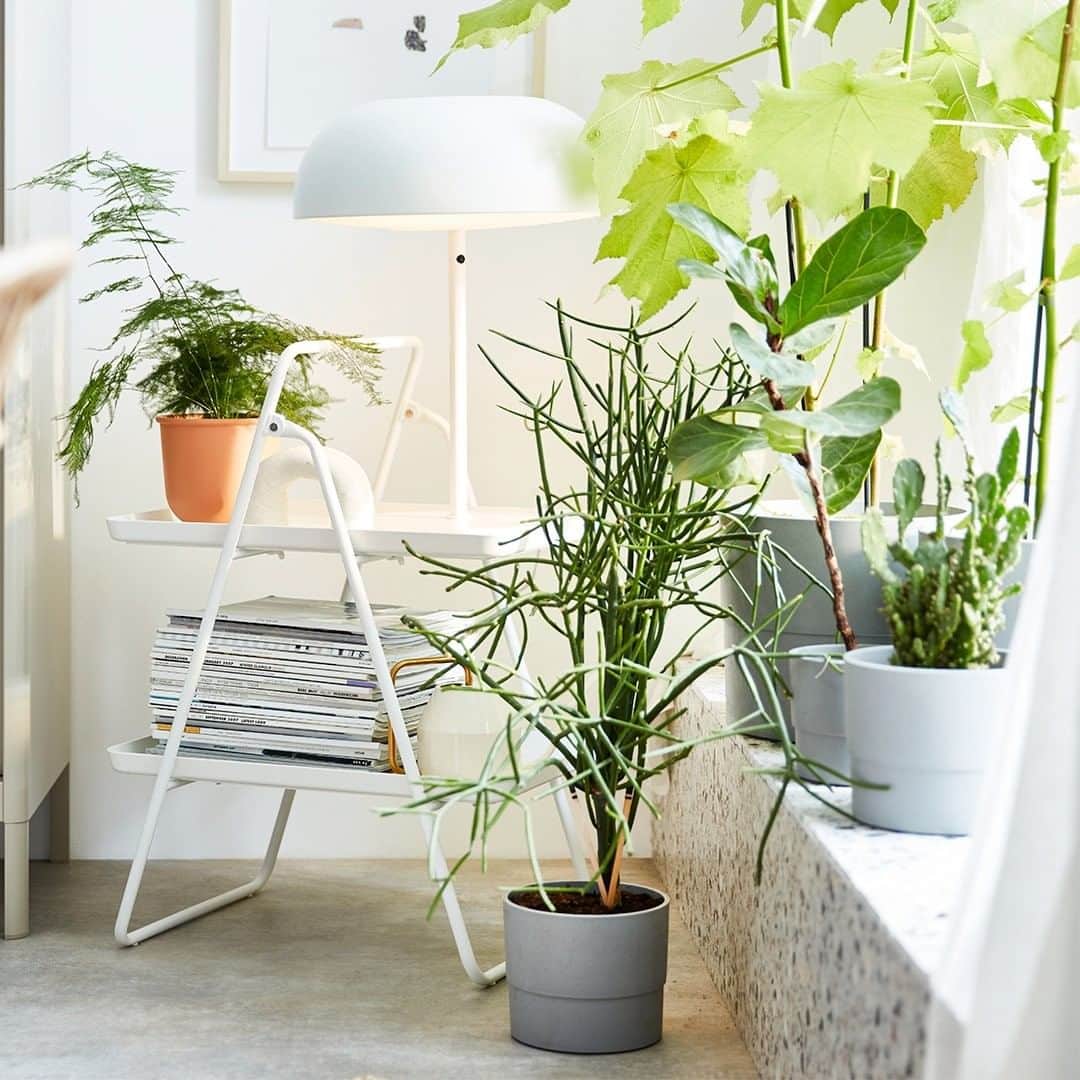 IKEA USAさんのインスタグラム写真 - (IKEA USAInstagram)「Surround yourself with living things, to feel the joy springtime brings. Don't worry, be plant-y. Ooh, ooh ooh ooh oo-ooh ooh oo-ooh... Shop link in bio.  NYPON Plant pot, indoor/outdoor gray, $2.99」5月6日 1時01分 - ikeausa