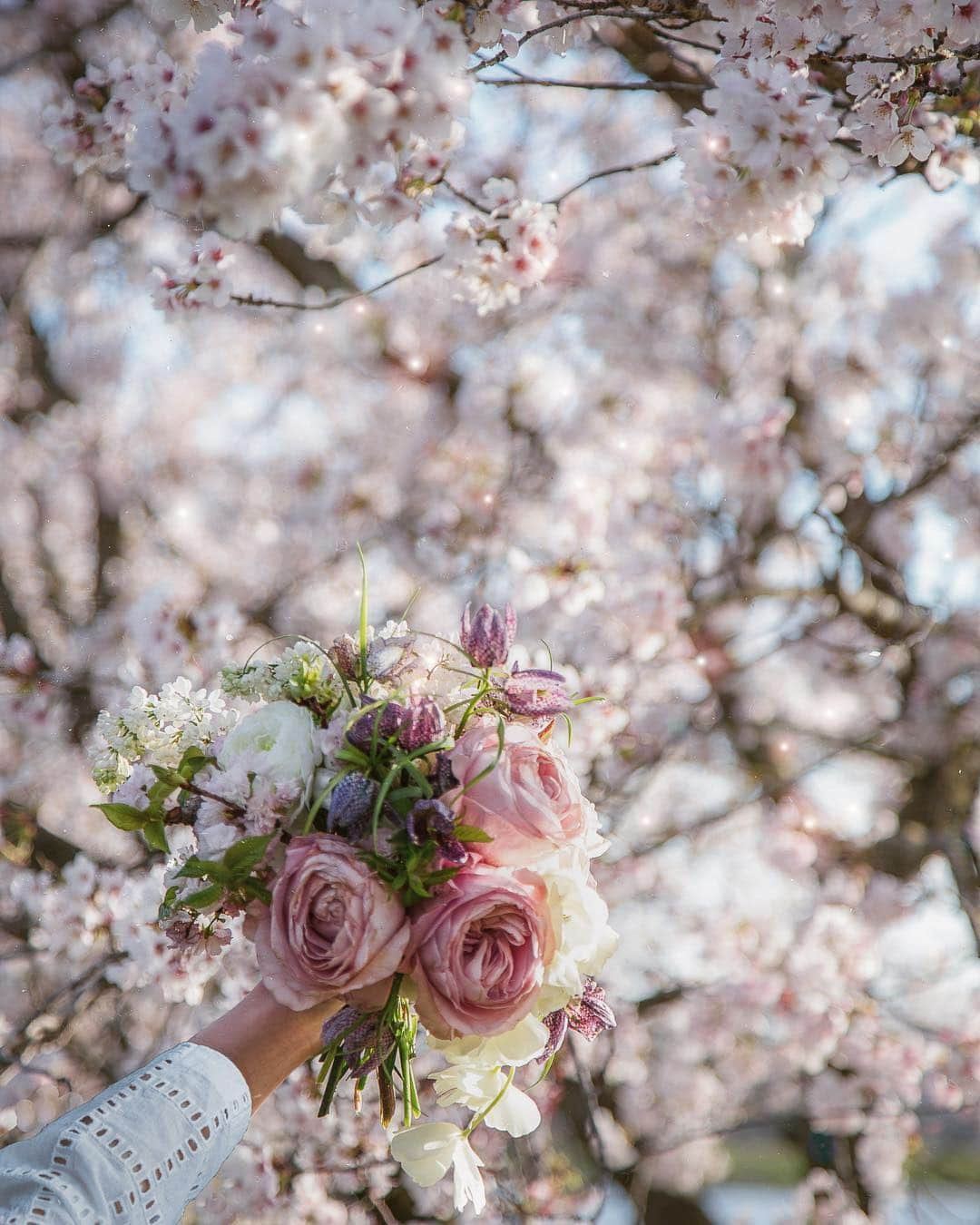 柳澤麻衣さんのインスタグラム写真 - (柳澤麻衣Instagram)「Have a lovely new week 🍃🌸👋」5月6日 1時50分 - toile_blanche