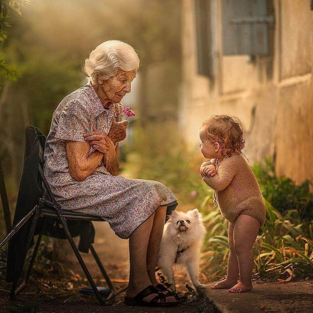 Huffington Postさんのインスタグラム写真 - (Huffington PostInstagram)「These photos of grandparents and their grandbabies are simply magical. 💖 Photographer Sujata Setia (@butnaturalphotography) has spent the last year in her travels offering to take photos of grandparents (and great grandparents) with their grandkids as a gift to them. The photos, captured in Setia’s natural-light, painting-like style, are pretty breathtaking. “I hope that this project has inspired them to photograph their grandparents and great grand parents with their children," she said. // 📷: Sujata Setia/But Natural Photography⁣」5月6日 2時06分 - huffpost