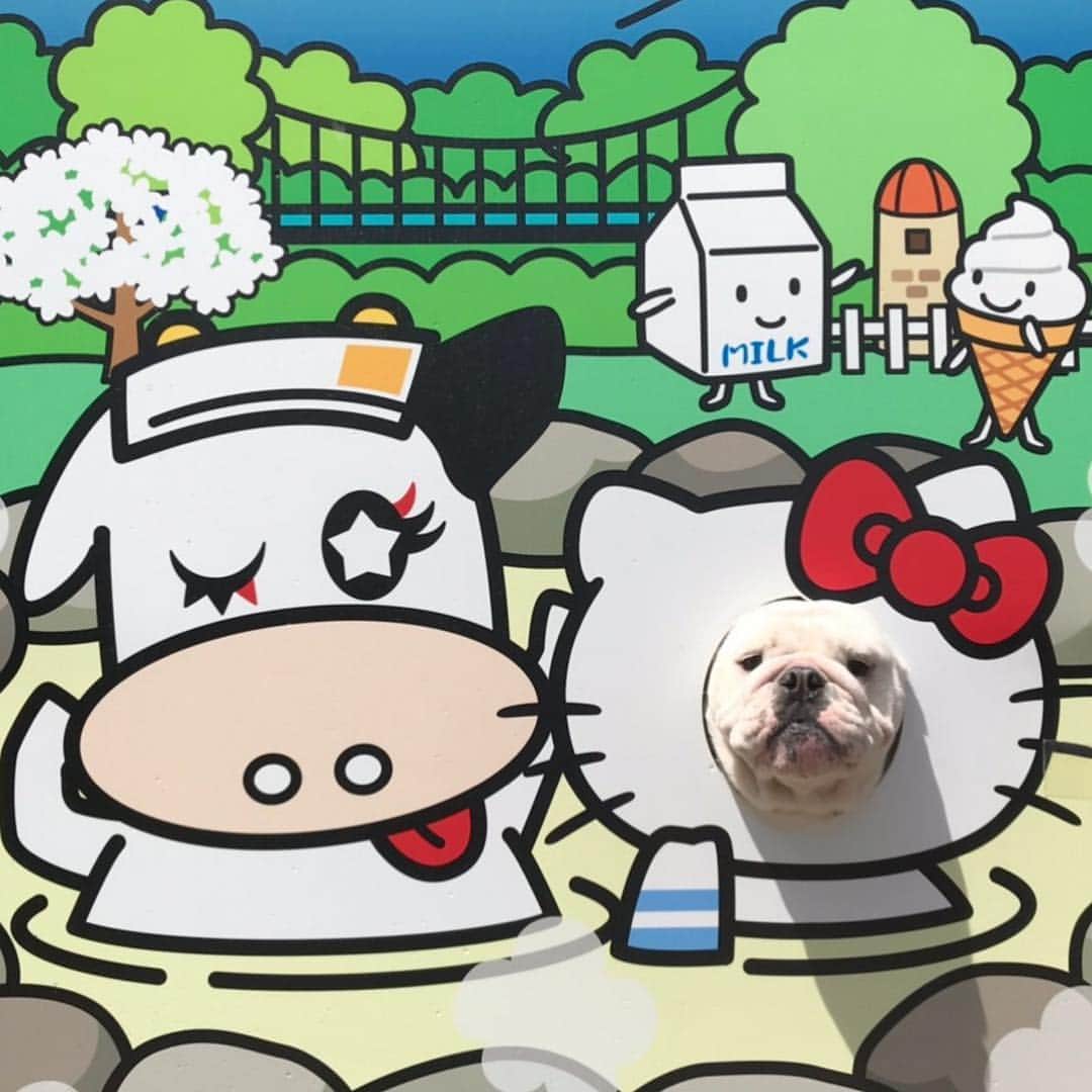 堀田祐美子のグルメインスタ