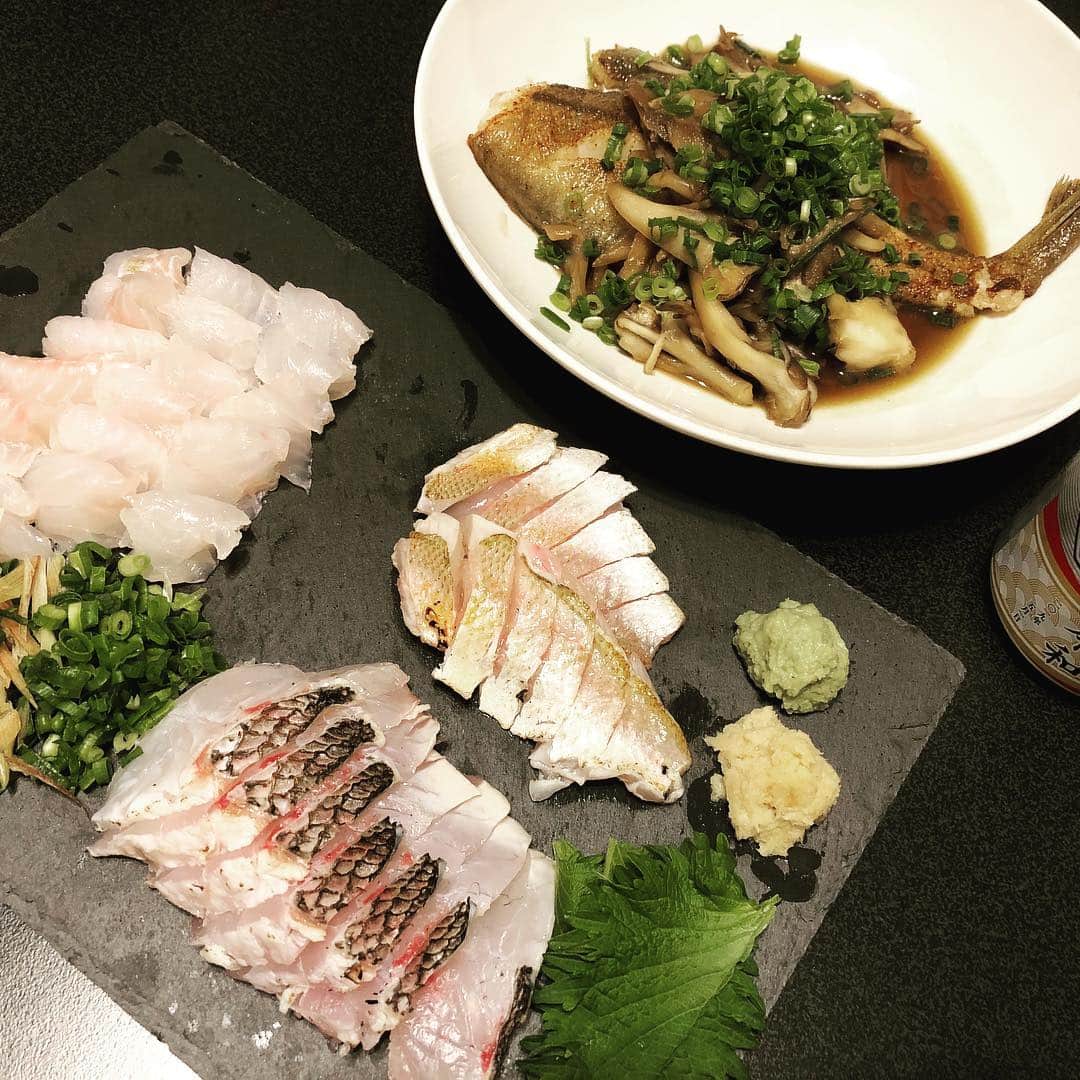 中村貴之さんのインスタグラム写真 - (中村貴之Instagram)「鯛釣りました(58㎝)。5時間ほど粘ってなんとか釣れて良かった。しかし今回も相当漕ぎました🛶 キジハタとノドグロと鯛の刺身。それとカレイと舞茸のムニエル(彼女が作ってくれた)。自分たちで捕った魚を食うのは最高にうまい。  #カヤックフィッシング #カヤック #鯛 #日本海 #釣れたんじゃない釣ったんだ #いい包丁欲しい 🔪」5月6日 13時55分 - taka_brew