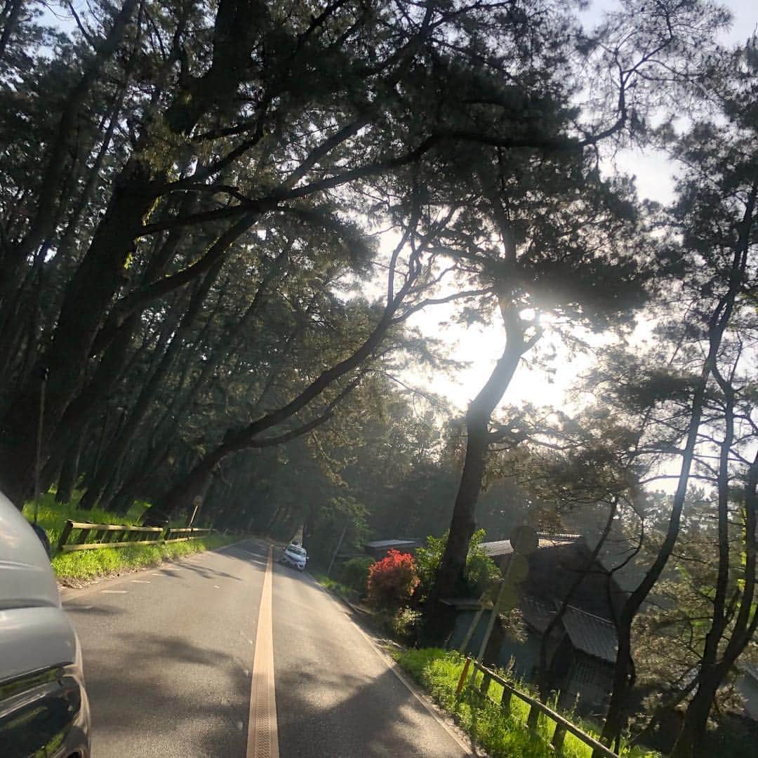 丸山敬太さんのインスタグラム写真 - (丸山敬太Instagram)「虹の松原で森林浴しながらドライブする贅沢  旅の記憶」5月6日 13時55分 - keitamaruyama