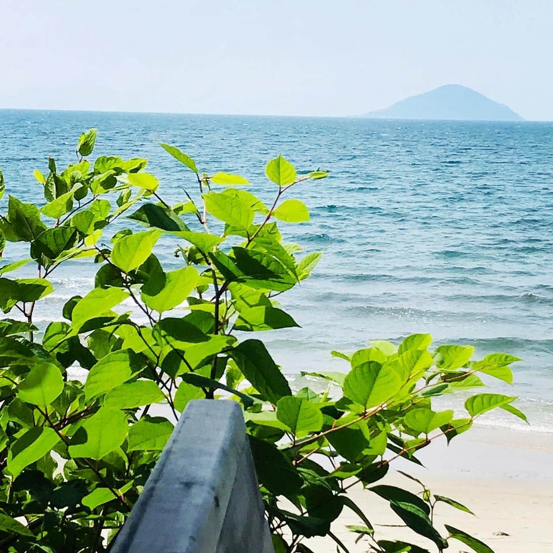 TOGGYのグルメインスタ