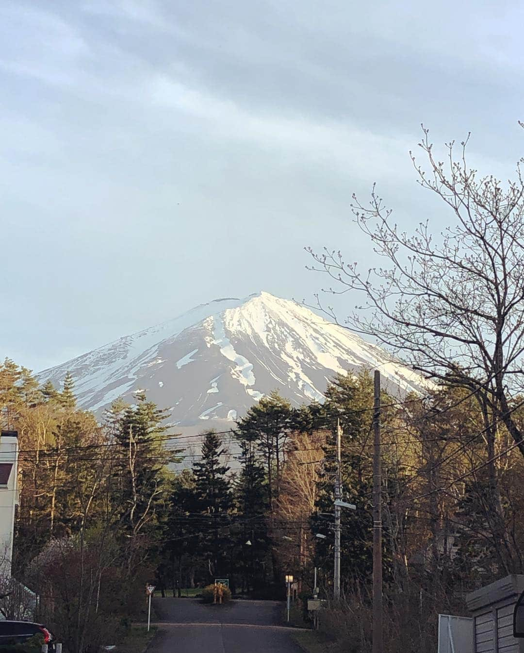 藤崎奈々子さんのインスタグラム写真 - (藤崎奈々子Instagram)「GWは久しぶりに別荘に遊びに行きました ・ 富士山が近く綺麗に見えるので 私の中ではパワースポット🏔 ・ お庭のツツジと桜が綺麗で 散策しながら写真を撮って楽しみました🌸 ・ #日本#山梨#富士山#河口湖#パワースポット」5月6日 6時22分 - nanakofujisaki