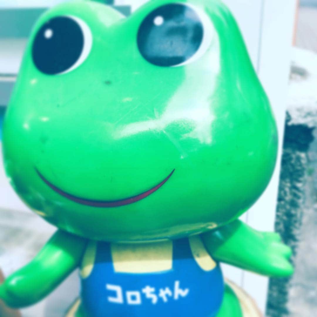中野敬久さんのインスタグラム写真 - (中野敬久Instagram)「#コロちゃん #korochan #frog #probably #street」5月6日 7時09分 - hirohisanakano