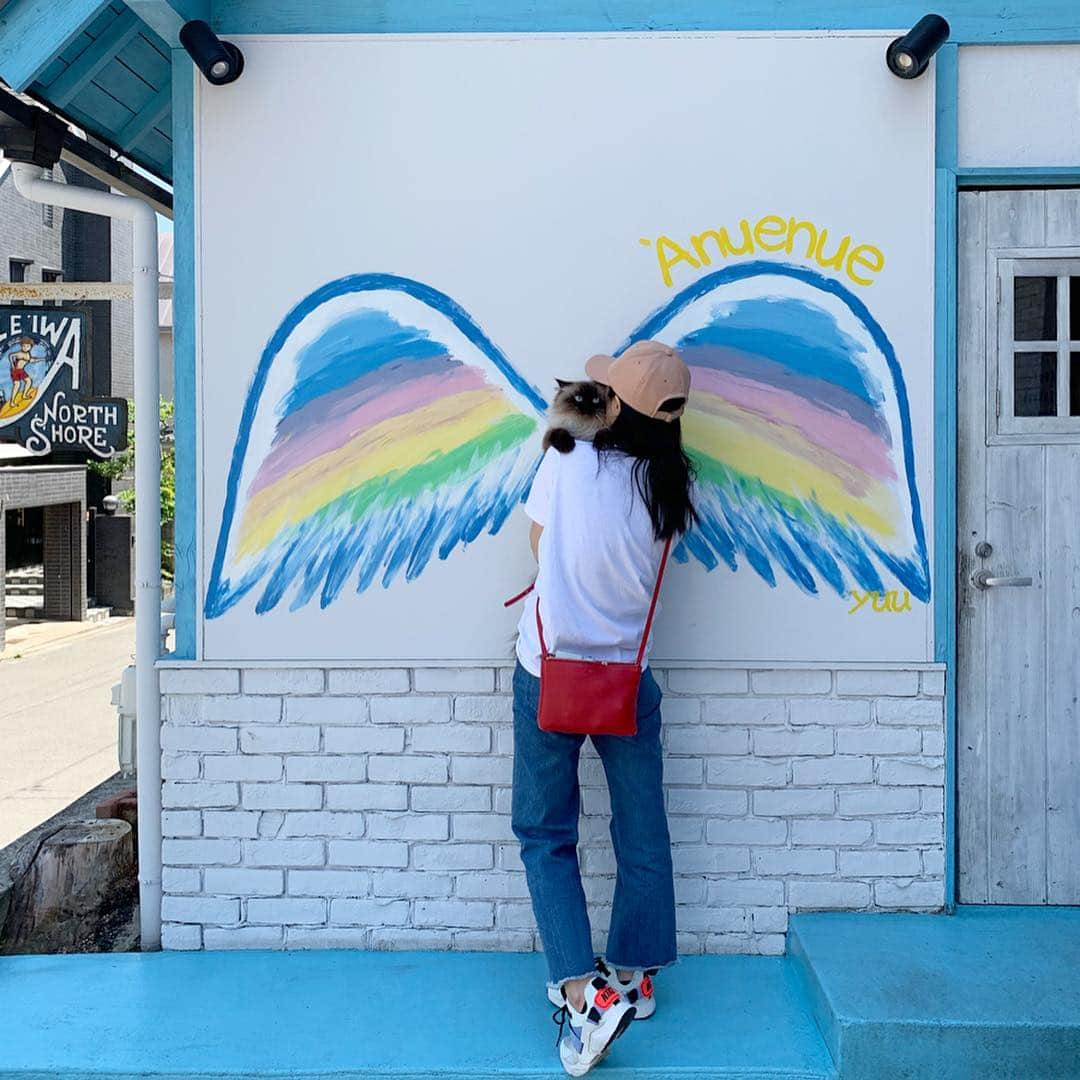 plumeさんのインスタグラム写真 - (plumeInstagram)「Plumeって名前はフランス語で羽毛って意味なんだよ🌈🕊 . ふわふわな天使をイメージしてママが名付けたよ💭👼🏼✨ . . . . . . . . #プリュムのいる生活 #猫のいる暮らし  #ヒマラヤン  #赤ちゃんと猫  #ふわもこ部  #ヒマラニャンズ  #猫  #ねこ #🐈 #ハワイアン #カフェ #天使 #羽  #plume #Hawaiian #고양이  #kucing  #Кот  #ilovecats  #sealpoint  #beautifulcat  #himalayancat  #catsofinstagram #catloversclub  #bestmeow  #bestcats_oftheworld  #weeklyfluff  #bestanimal #cutepetclub #grumpycat」5月6日 8時09分 - plumestagram