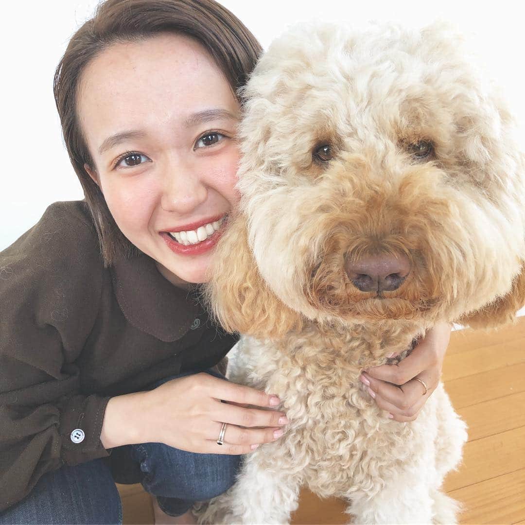 のインスタグラム：「久々のしばちゃんとマルルー。 連休中たくさんのゲストが自宅に来てくれて楽しい時間を過ごしました🌈 大好きな人と大好きな人を繋ぐ喜び😌❣️ おいしいワインとみきこさんお手製の最高においしいお料理でうっとりするような南イタリアのお話でステキな時間を過ごさせてもらいました🇮🇹 みきこさんしんさんは私たち夫婦の憧れ✨ 連休最終日、みなさんにとって素敵な一日になりますように☺️ #まるるーとおしば #standardpoodle #プードル #スタンダードプードル」