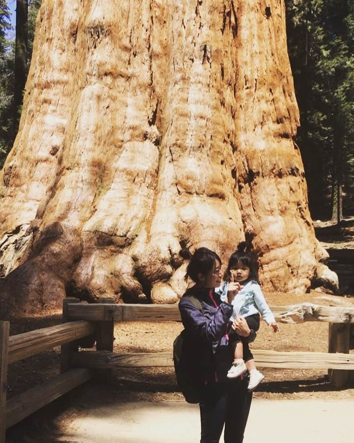 香山ひとみのインスタグラム