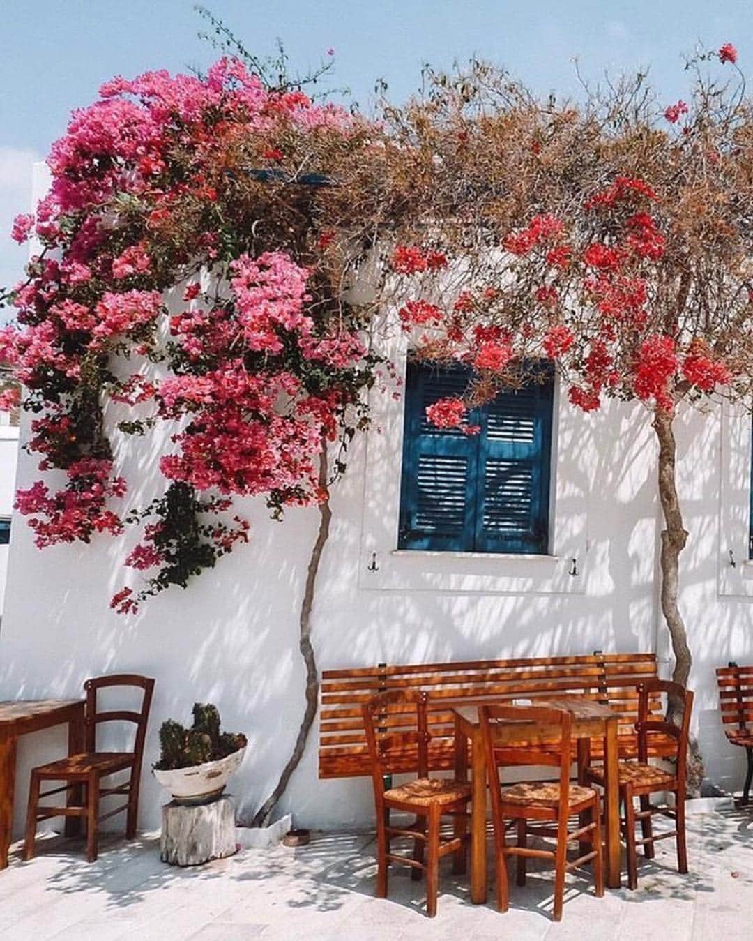 のインスタグラム：「A little summer travel inspiration via @cntraveler. Greece definitely tops our list. 🇬🇷 . . 📷 @travel_a_little_luxe #velvetla #travelinstyle」