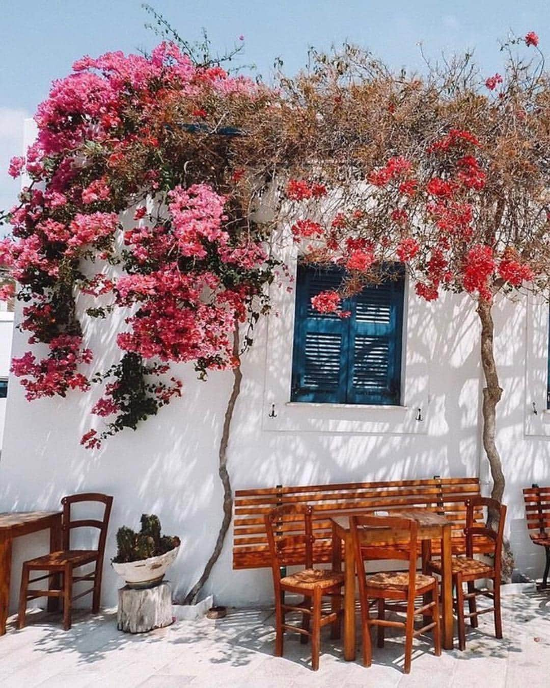 グラハム&スペンサーさんのインスタグラム写真 - (グラハム&スペンサーInstagram)「A little summer travel inspiration via @cntraveler. Greece definitely tops our list. 🇬🇷 . . 📷 @travel_a_little_luxe #velvetla #travelinstyle」5月6日 8時54分 - velvettees