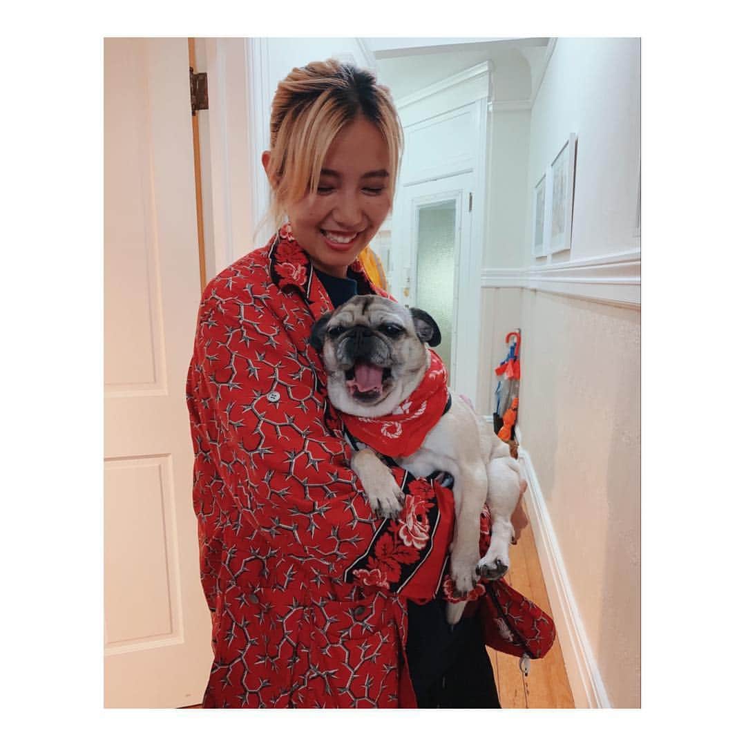 Melissa Santiagoのインスタグラム：「Two new friends!  @caaoorii & #LeicaHarrietPancakes」