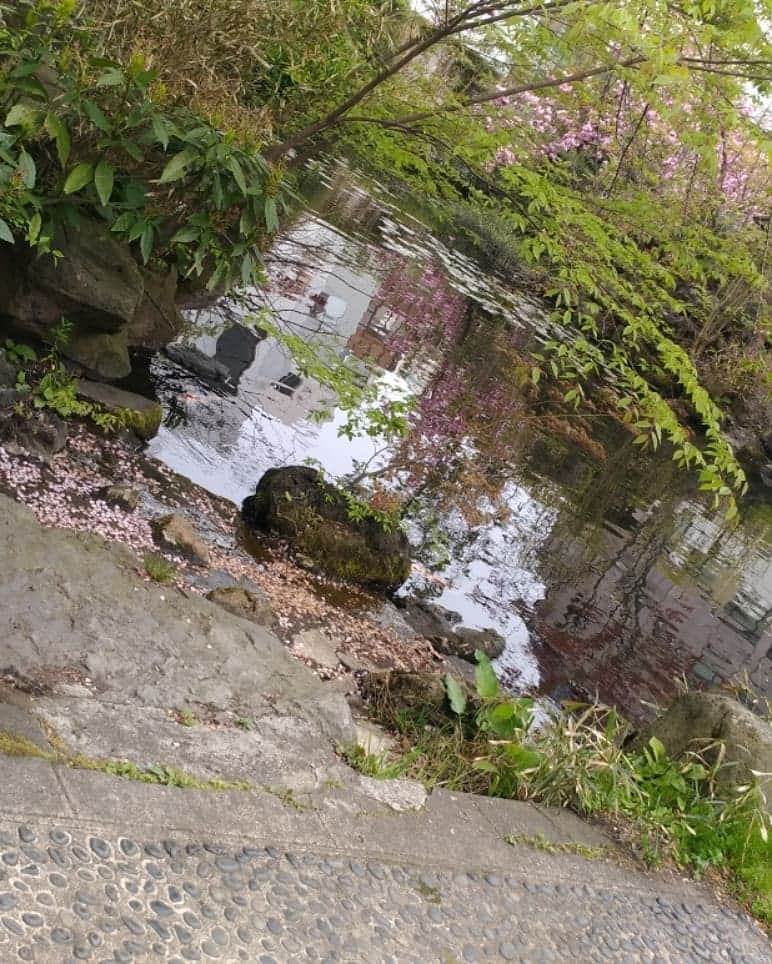 烏川耕一さんのインスタグラム写真 - (烏川耕一Instagram)「善知鳥神社です。  龍神の水です。  パワースポットです。  にしても、鯉デカ過ぎやろ！  以上です。」5月6日 9時16分 - kouichiukawa
