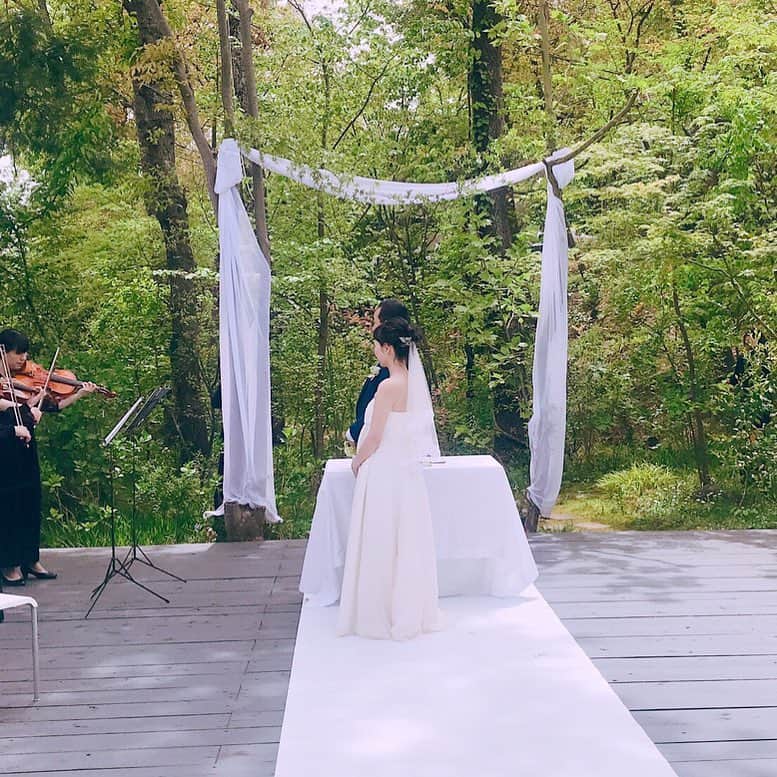 Maiko Shibataのグルメインスタ