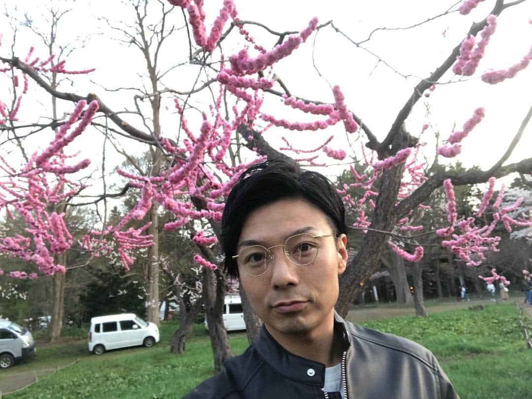 札幌テレビ「どさんこワイド朝」さんのインスタグラム写真 - (札幌テレビ「どさんこワイド朝」Instagram)「. 先週、花見客で賑わう円山公園&北海道神宮に行ってきました！！ 桜はもちろん梅も最高の状態  花もボリュームがあって、香りもあるので梅の方が好きだったりします（笑） 桜&梅の花見界のツートップを同時に見られるのは北海道ならでは！ 感謝です🎵 . #梅 #花見 #円山公園 #北海道神宮 . #stv #どさんこワイド朝  #大家彩香 #小出朗  #西尾優希 #久保朱莉  #工藤聖太 #佐藤宏樹」5月6日 10時00分 - dosanko_asa
