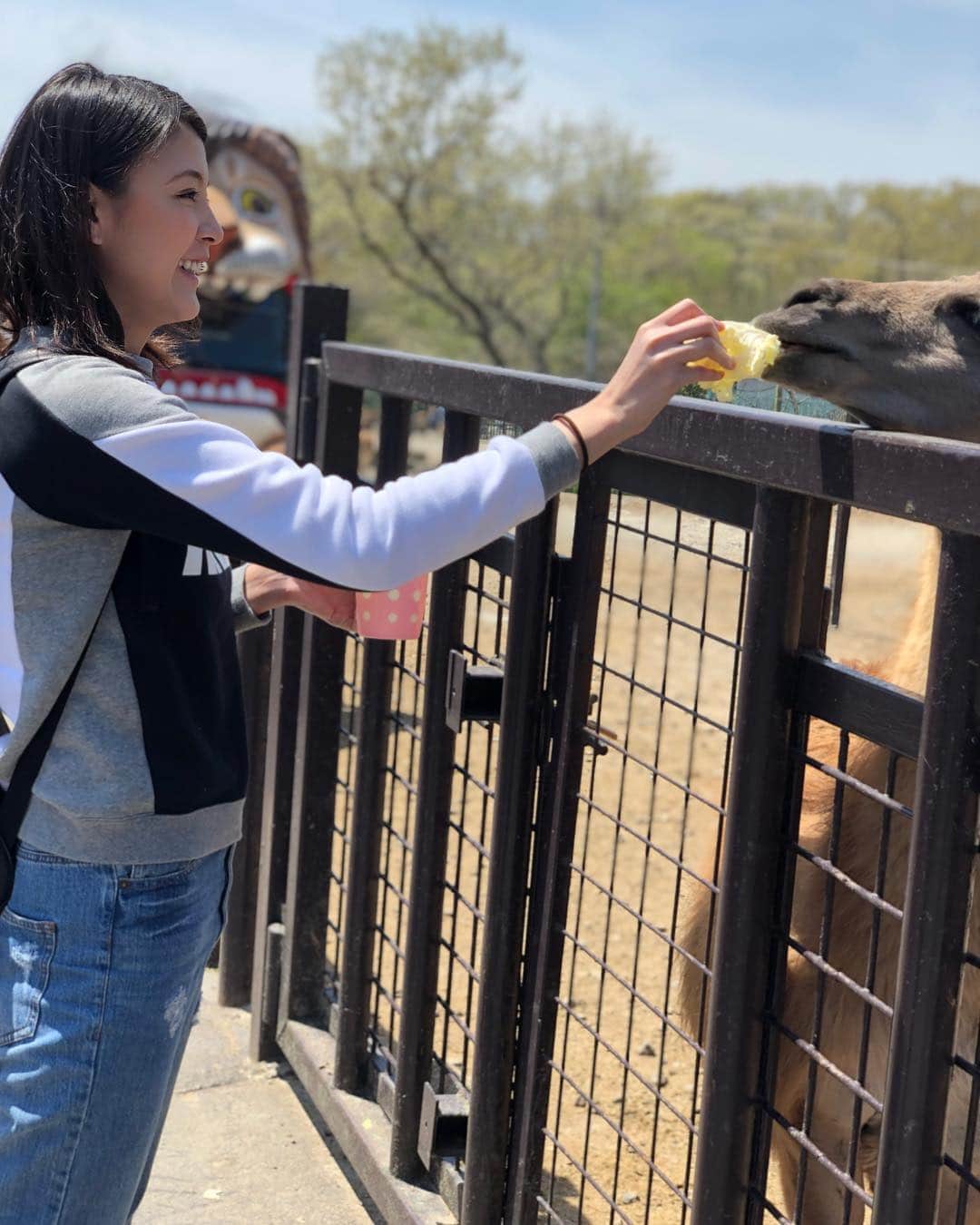源崎トモエのインスタグラム：「那須サファリパーク🦁🐯🦒🦓🐘 . 家族で那須サファリパークへ✨ 動物達に直接触れ合えて癒された～☺️ 動物やっぱりすごい好き🥰 . #那須サファリパーク #那須 #休日 #家族」