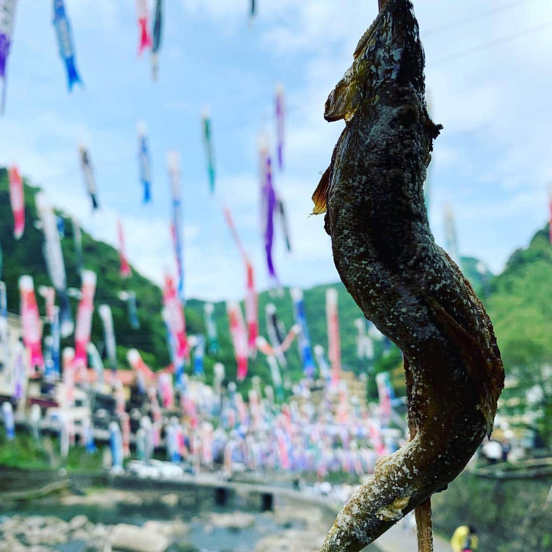 細野かおりのインスタグラム：「#杖立温泉 #鯉のぼり 祭り🎏  で鮎を食らう」