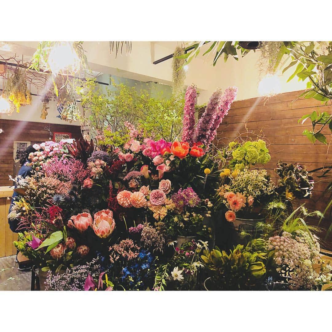 のインスタグラム：「学芸大学から徒歩5分くらいの場所にある @the.daffodils.flowershop  に行ってきた🌼  インスタで見ててずっと気になってたんだ。 お花全然詳しくないけど普段行ってるお花屋さんにはなかなか見ない色や種類のお洒落なお花が沢山あって、店内も素敵すぎた。。。 店員のお兄さんもめっちゃ気さくでお家にある花瓶を見せると一緒に選んでくれて感激。 ありがとうございました😊 #お花のある暮らし  #お花のある生活  #thedaffodilsflowershop  #学芸大学」