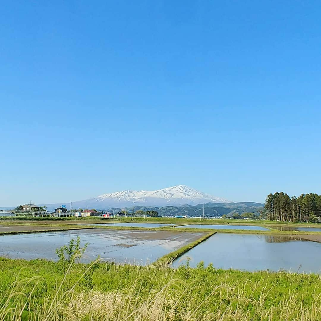 岩山立子さんのインスタグラム写真 - (岩山立子Instagram)5月6日 11時24分 - jazzestme