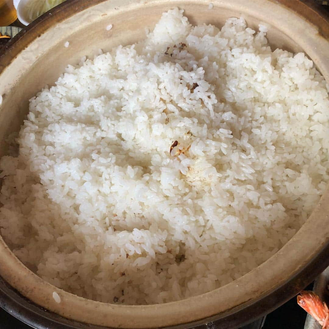 堀田祐美子さんのインスタグラム写真 - (堀田祐美子Instagram)「朝食も豪華！！ 現地の新鮮な野菜と卵…  白米は土鍋で…  魚はバーナーで炙りまで…  器も持参！！ #yumikohotta #堀田祐美子 #woman's #prowrestling #女子プロレス #prowrestling #プロレス#awg#アクトレスガールズ#アクトレスガールズプレイングマネージャー #犬 #dog #bulldog #ブルドッグ #ホワイト#white#ホワイトブルドッグのふぅら#whit bulldog#ブヒ #鼻ぺちゃ#可愛い#toypoodle #トイプードル #コナ #ハーツ82#バーベキュー#那須塩原#朝食」5月6日 11時20分 - yumiko_hotta