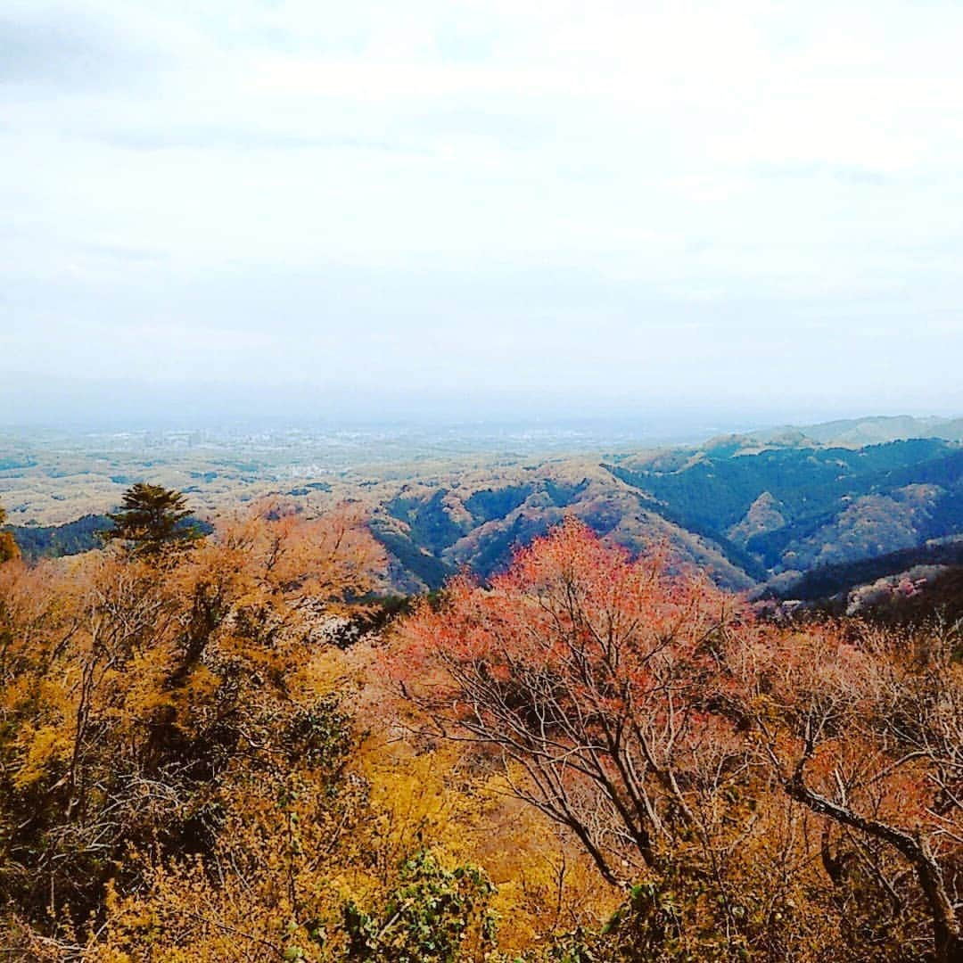 日本工学院さんのインスタグラム写真 - (日本工学院Instagram)「頑張ったら、綺麗な景色に出会えた！ <学生投稿写真> #日本工学院 #nihonkogakuin #専門学校 #日本工学院八王子専門学校 #日本工学院専門学校 #工学院 #学生投稿写真 #新入生 #フレッシャーズキャンプ #ミシュラン #八王子 #高尾山  #明日は筋肉痛 #アオハル#あおはる #夢が叶う場所  #あきらめないで #きっと大丈夫 #応援するよ #高校生#進路相談　の一助に！」5月6日 12時05分 - nihonkogakuin