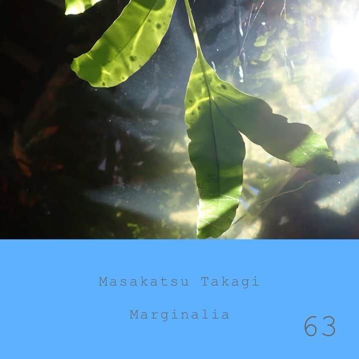 高木正勝のインスタグラム：「あっと言う間に美しい緑の季節です。﻿ （休息）﻿ ﻿ マージナリア #63﻿ Marginalia #63﻿ ﻿ Bandcampにて視聴・販売しています。﻿ ﻿ https://takagimasakatsu.bandcamp.com﻿」