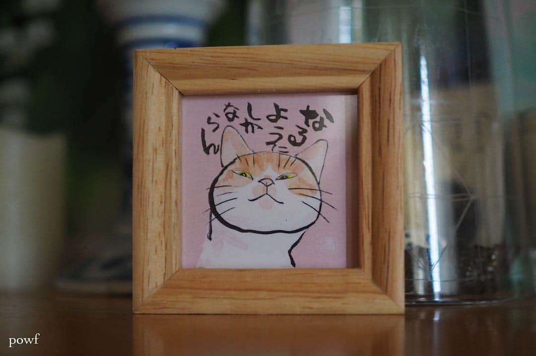 anemone_69のインスタグラム：「. 猫都のアイドル展で購入した #水谷満 さんの茶トラ白の小さな絵 🐈 . この方の作る人形もすごく好み〜♪ と思ったら、後になって 私の大好きな萬古焼だと わかってびっくり。 いつか欲しいなー❤︎ . . .」