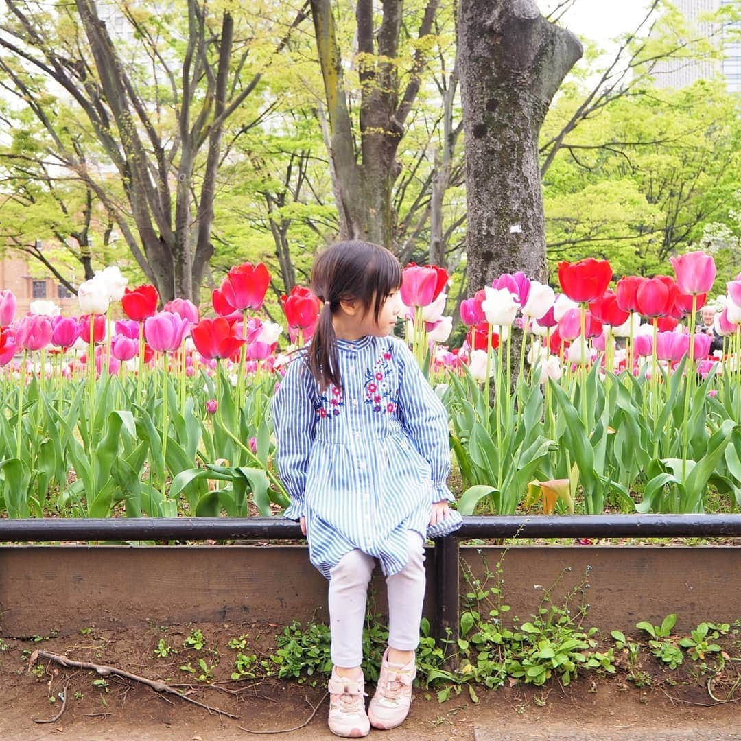 Kuboi Ayumiさんのインスタグラム写真 - (Kuboi AyumiInstagram)「日比谷公園は #ネモフィラ だけでなく チューリップもとてもきれいで、娘も気に入ったようです。 遊具で遊んだ後はチューリップを見ながらクンクンしたり 自分でも写真を撮ったりして遊んでいました。  今日で長かったゴールデンウィークも終わり！ 基本的にひとりでおてんばすぎる娘たちと過ごすには長すぎました（笑）･ ･  明日から通常営業します☆ ･ ･ #日比谷公園 #公園 #ママコーデ #チューリップ #東京散歩　#はなまっぷ #花まっぷ #ザ花部 #花フレンド #女の子ママ #親バカ部 #mamagirl #イットママ #ツインテール　#インスタ映え #あなたの盛りかわ写真コンテスト #ファミマ #盛りかわ #盛りかわいい #インフルエンサー #盛りかわいいbook #ゴマブックス @gomabooks_jp @familymart.japan」5月6日 22時12分 - himekagami