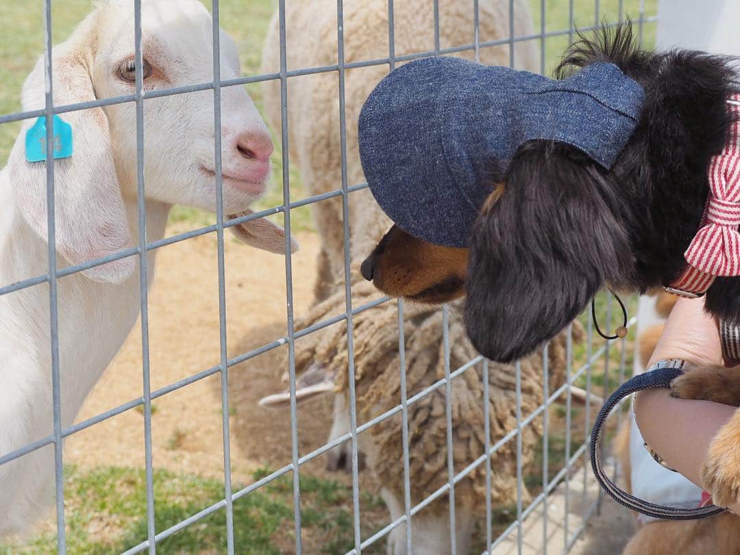 Sora Momoのグルメインスタ