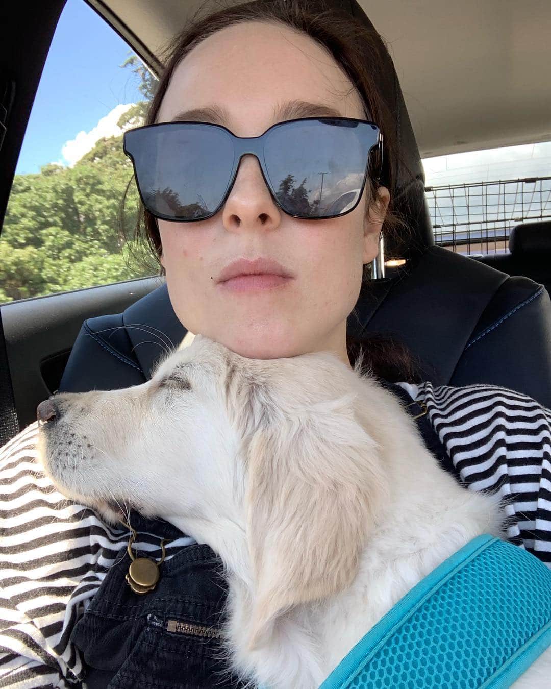アリー・エックスのインスタグラム：「Being reunited with someone very special today 🐶😭」